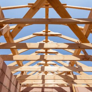 Digital Building Design Consultation